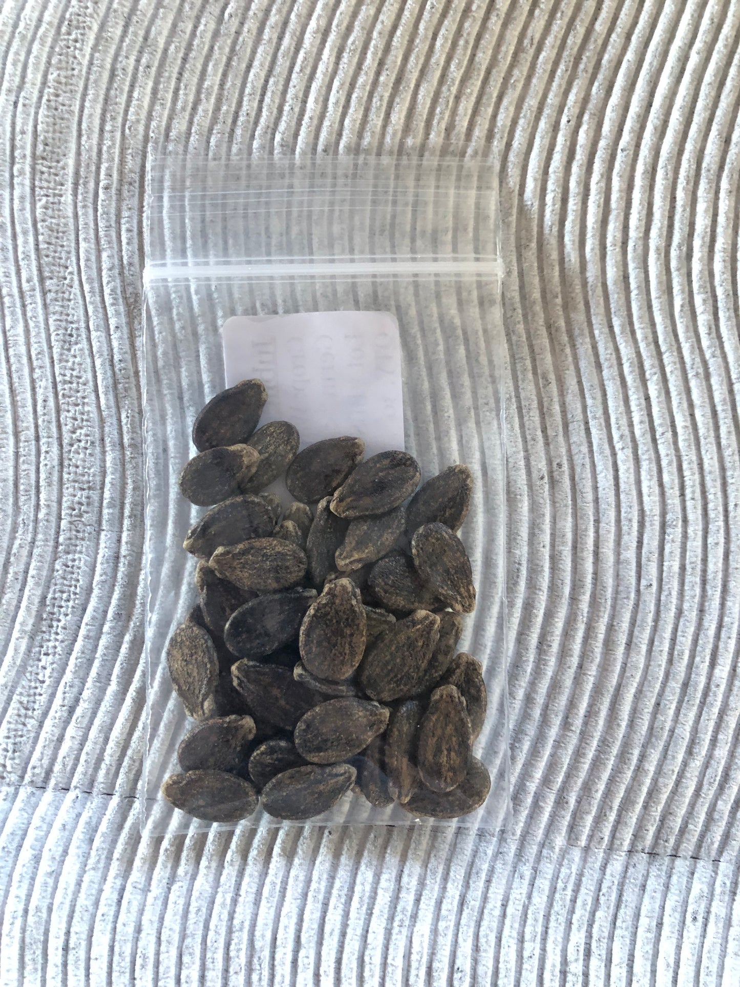 Vegetable Seeds